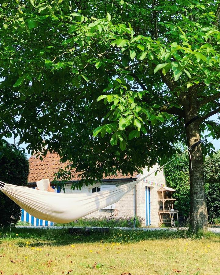 Hamiora Wellness B&B Deinze Esterno foto