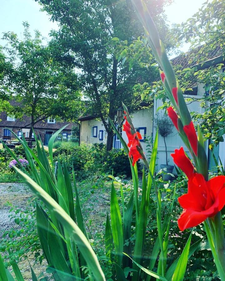 Hamiora Wellness B&B Deinze Esterno foto