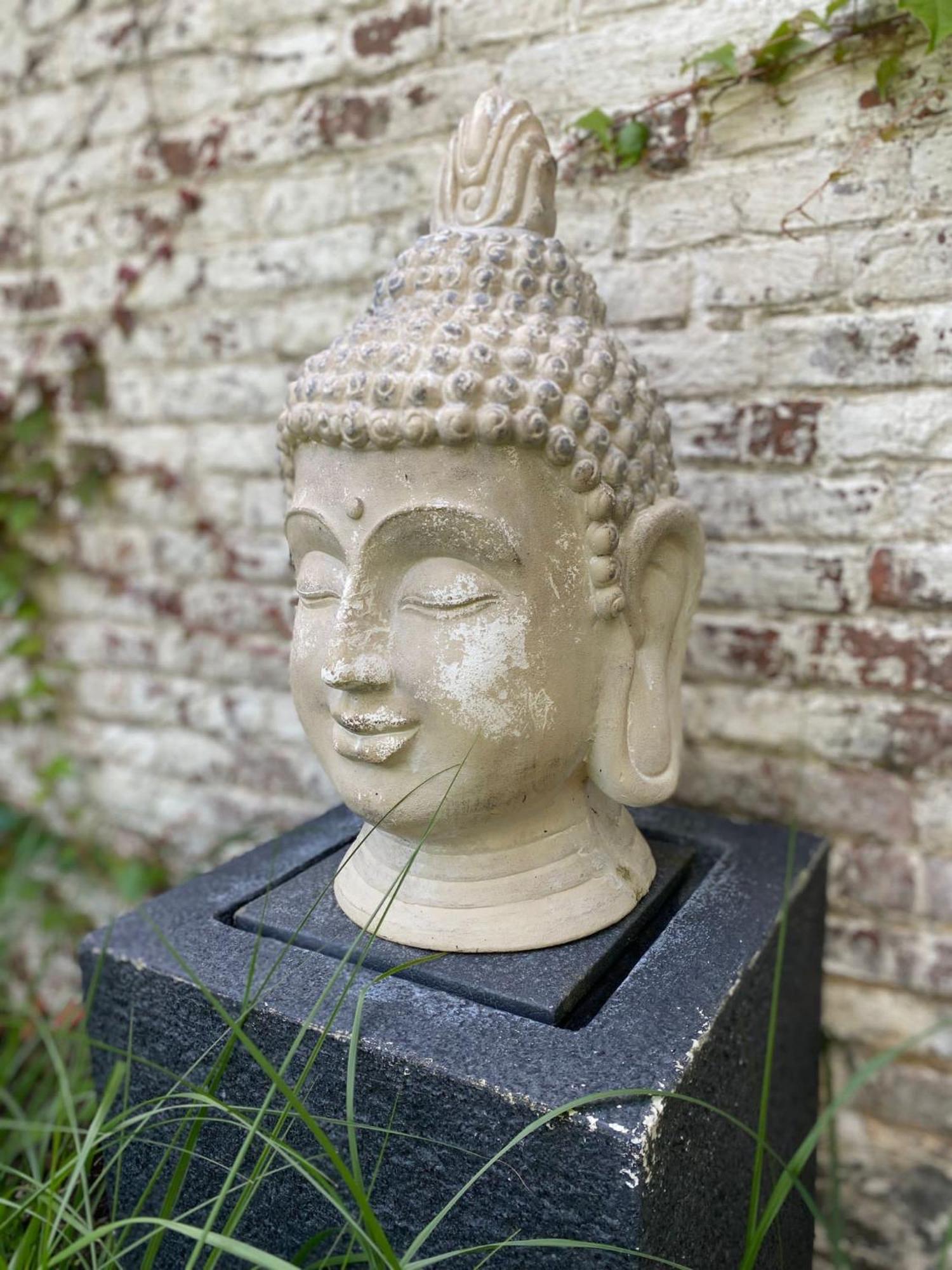Hamiora Wellness B&B Deinze Esterno foto