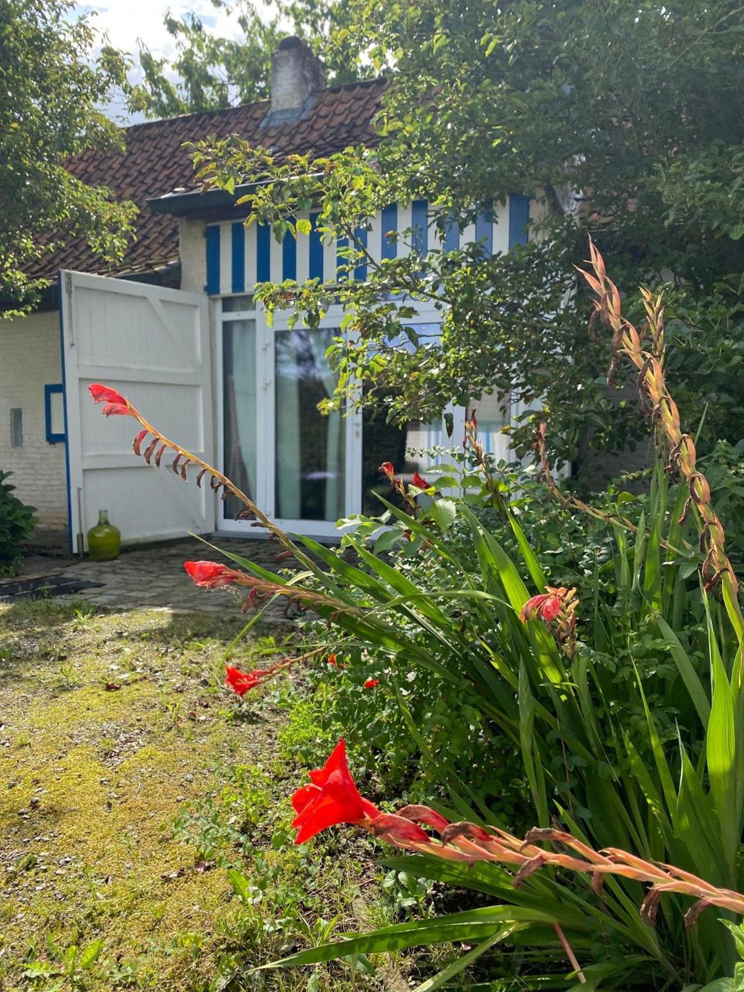 Hamiora Wellness B&B Deinze Esterno foto