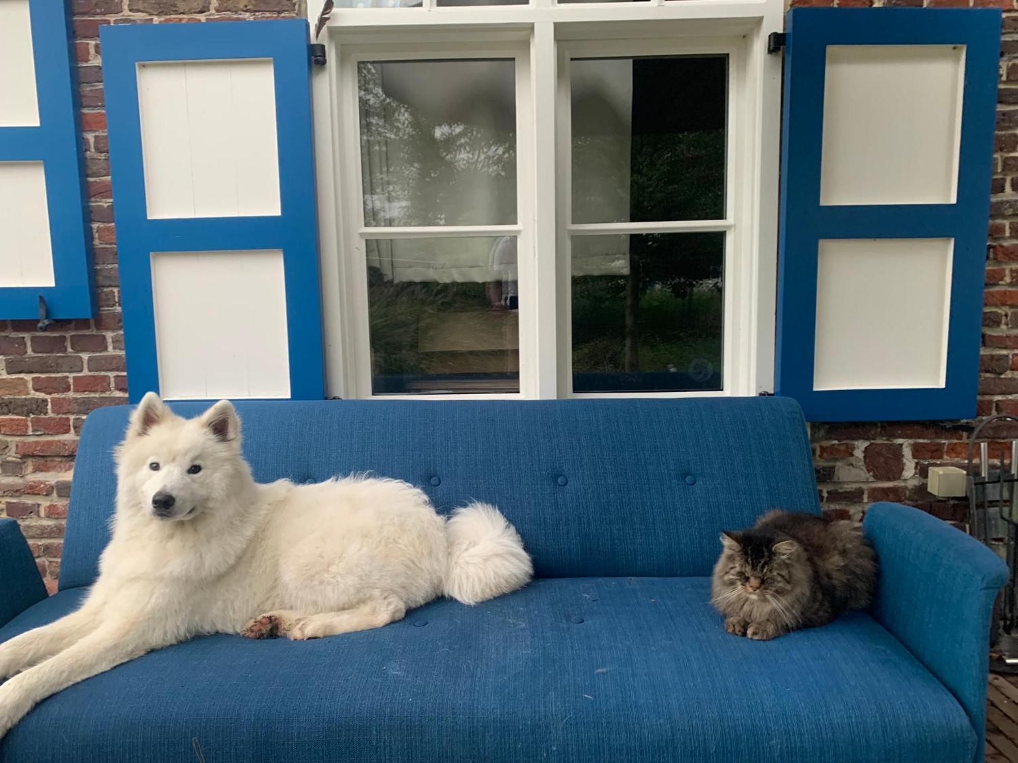 Hamiora Wellness B&B Deinze Esterno foto