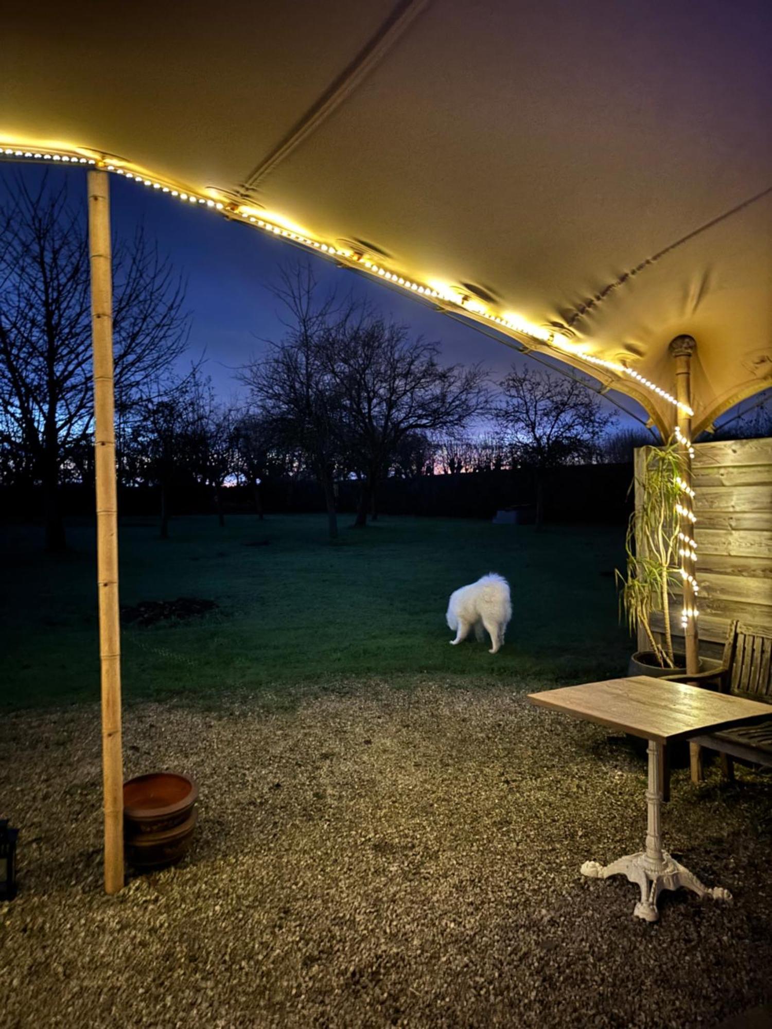 Hamiora Wellness B&B Deinze Esterno foto