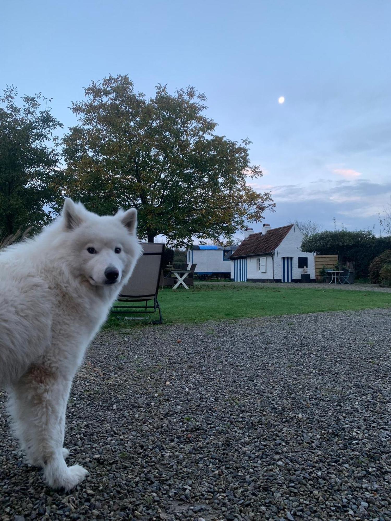 Hamiora Wellness B&B Deinze Esterno foto