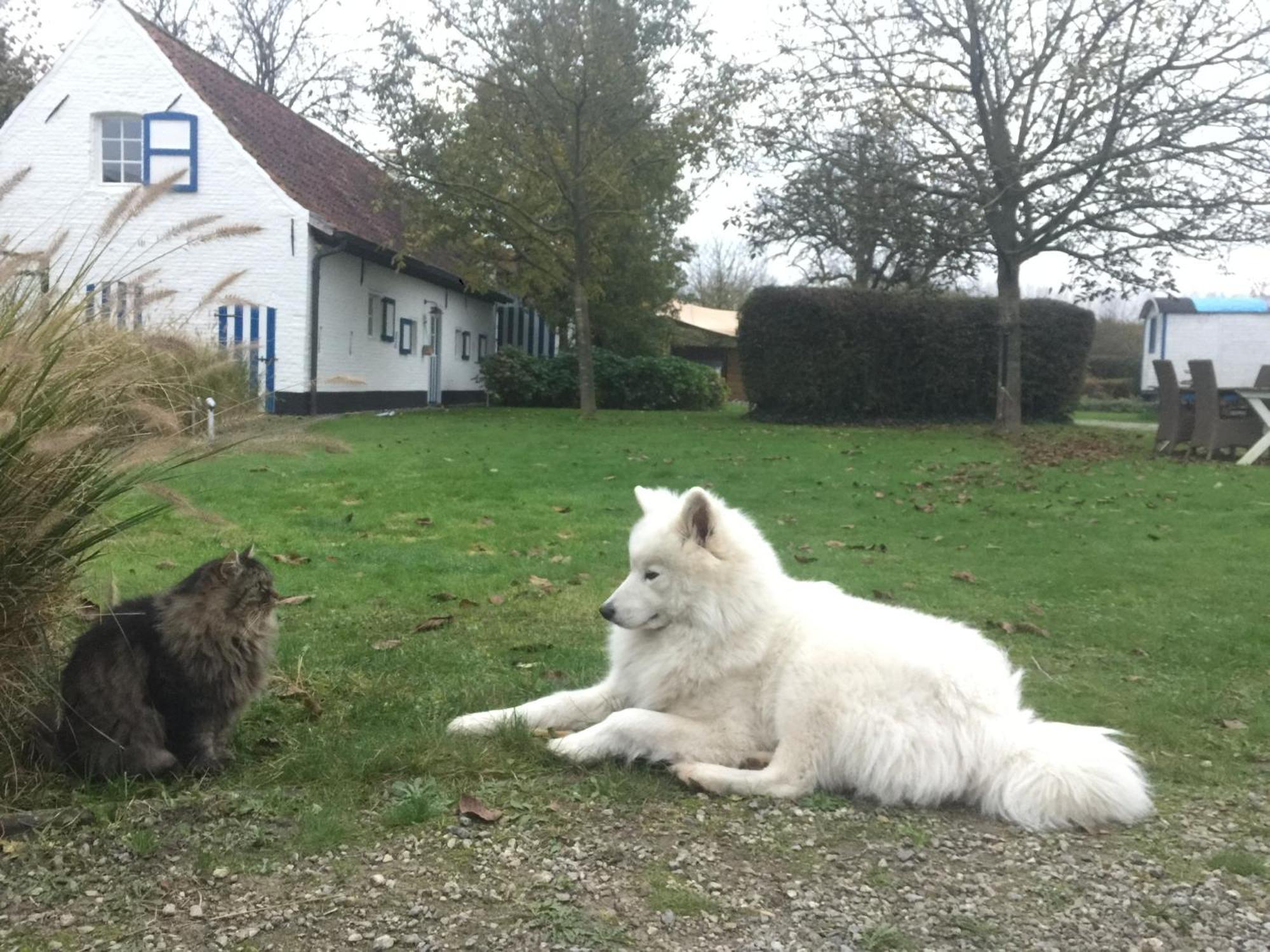 Hamiora Wellness B&B Deinze Esterno foto