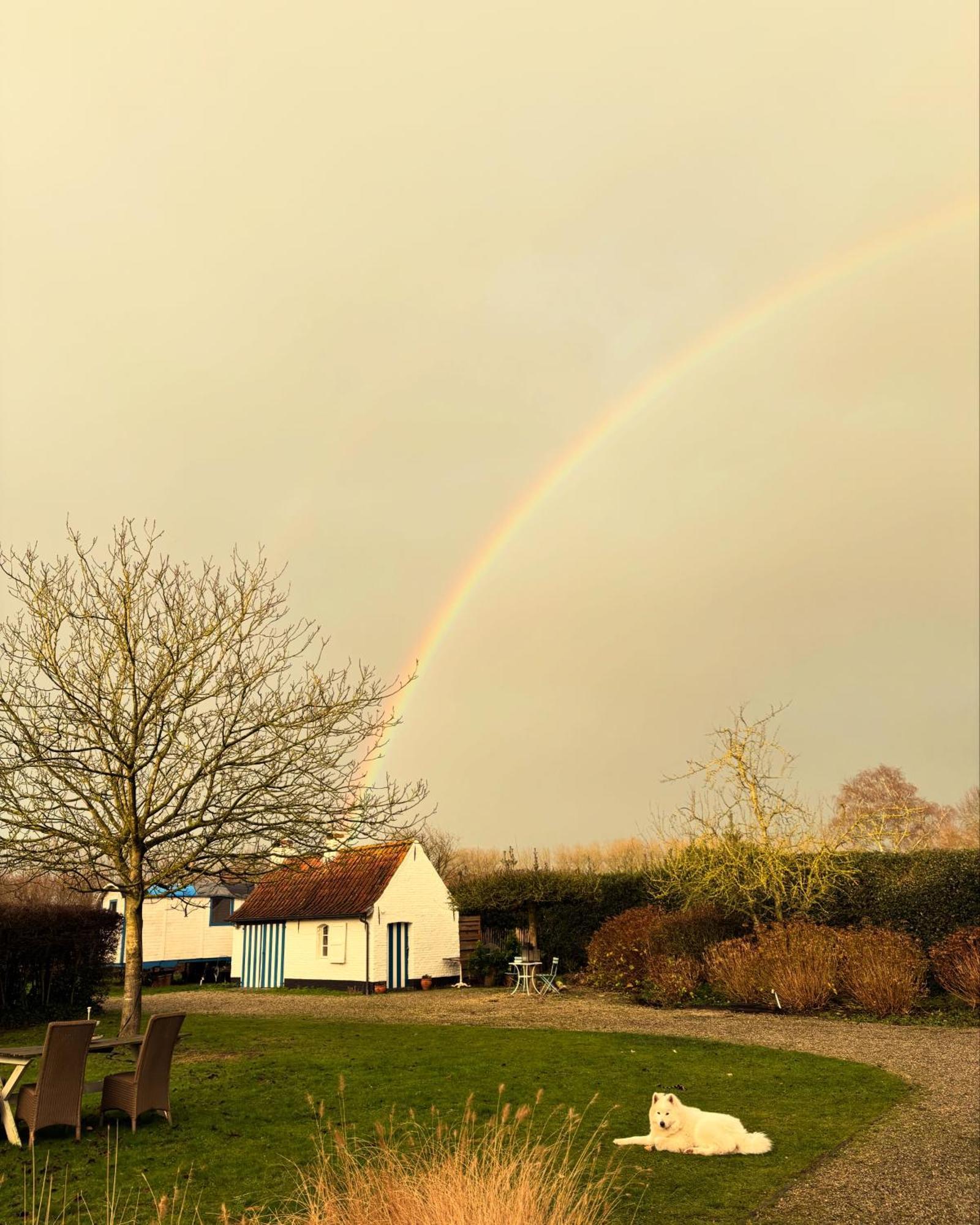 Hamiora Wellness B&B Deinze Esterno foto