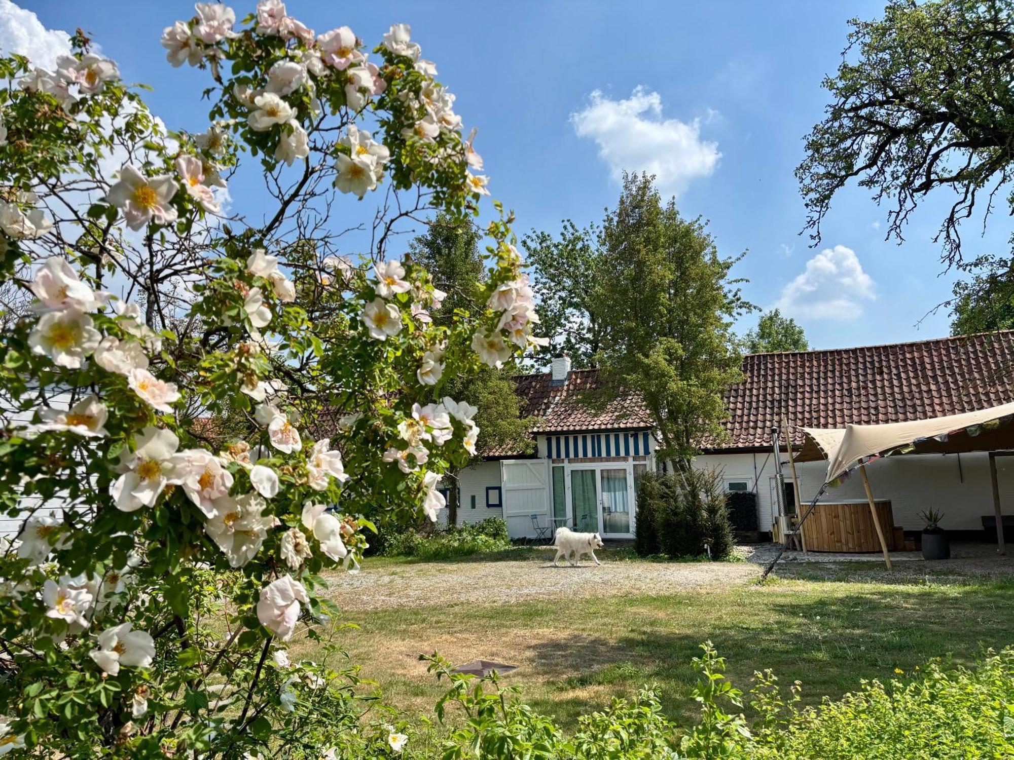 Hamiora Wellness B&B Deinze Esterno foto